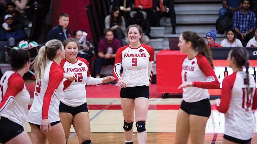 Header image for the article Double victory for Falcons' volleyball
