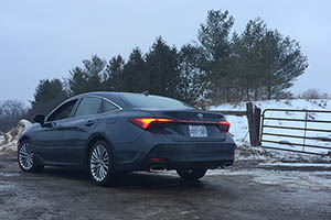 Automotive Affairs: The 2019 Toyota Avalon photos