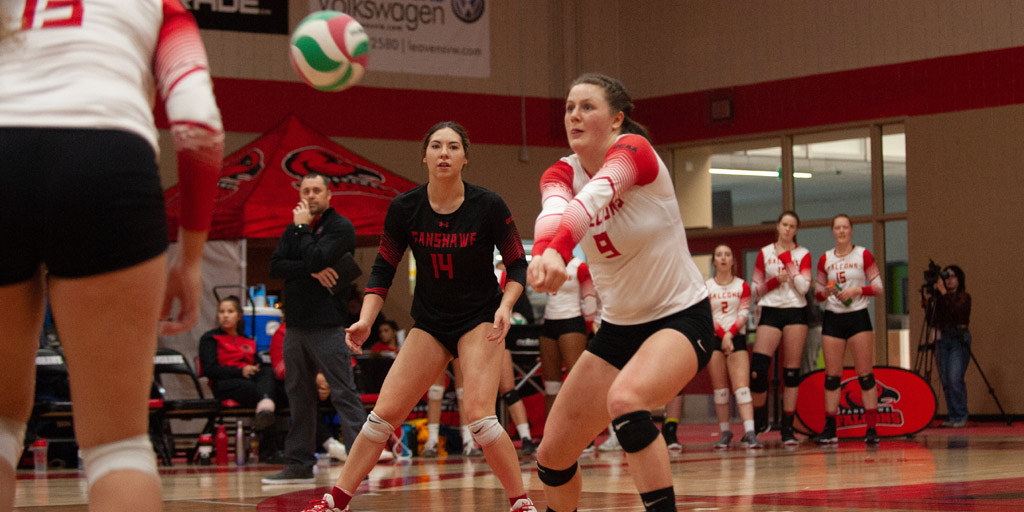 Header image for the article Fanshawe Falcon receives prestigious National award in women's volleyball
