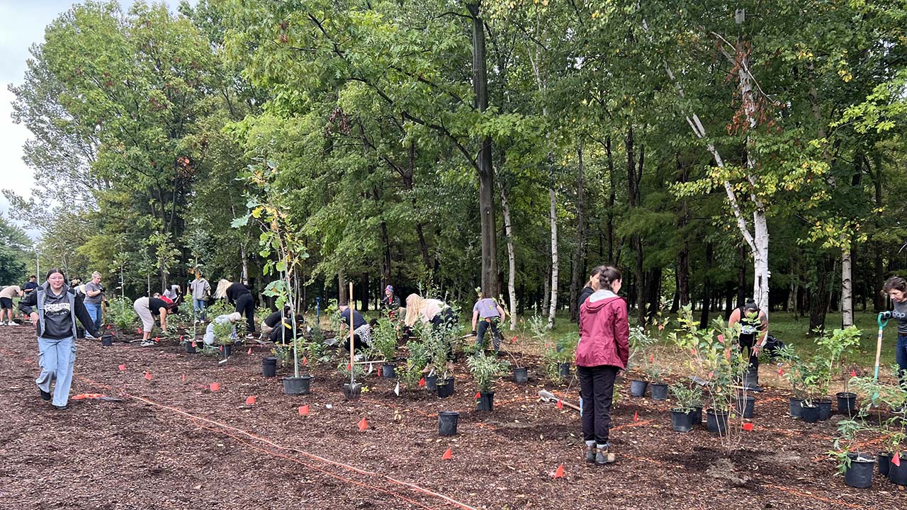 Exterior image of a group of people planting trees in a garden on Fanshawe's campus grounds.