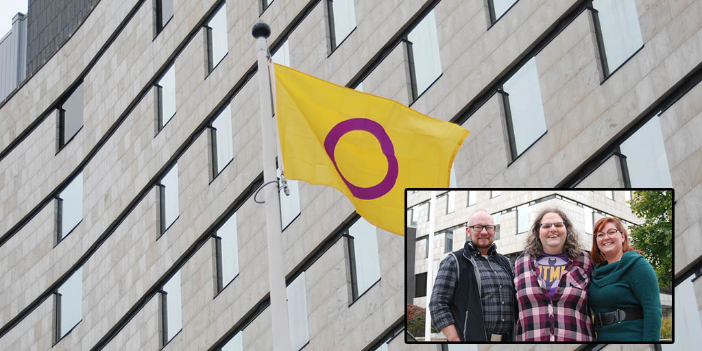 Header image for the article Intersex flag at City Hall celebrates milestones