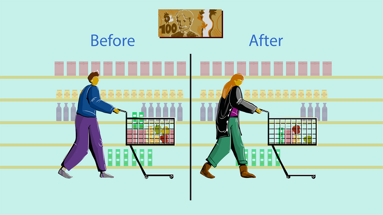 Artwork showing the difference between how far $100 gets you at the grocery store, with one half of the image showing someone with a full basket under the word Before next to someone with a mostly empty basket under the word After