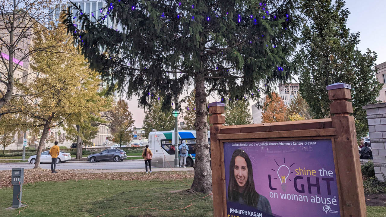 Shine the Light on woman abuse campaign artwork in a park.