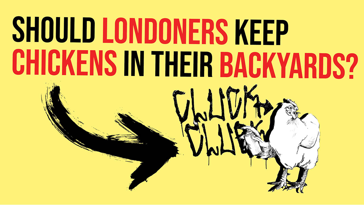 Header image for the article Should Londoners have chickens in their backyards?
