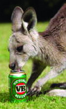 kangaroo