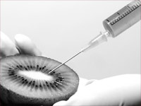 food being injected