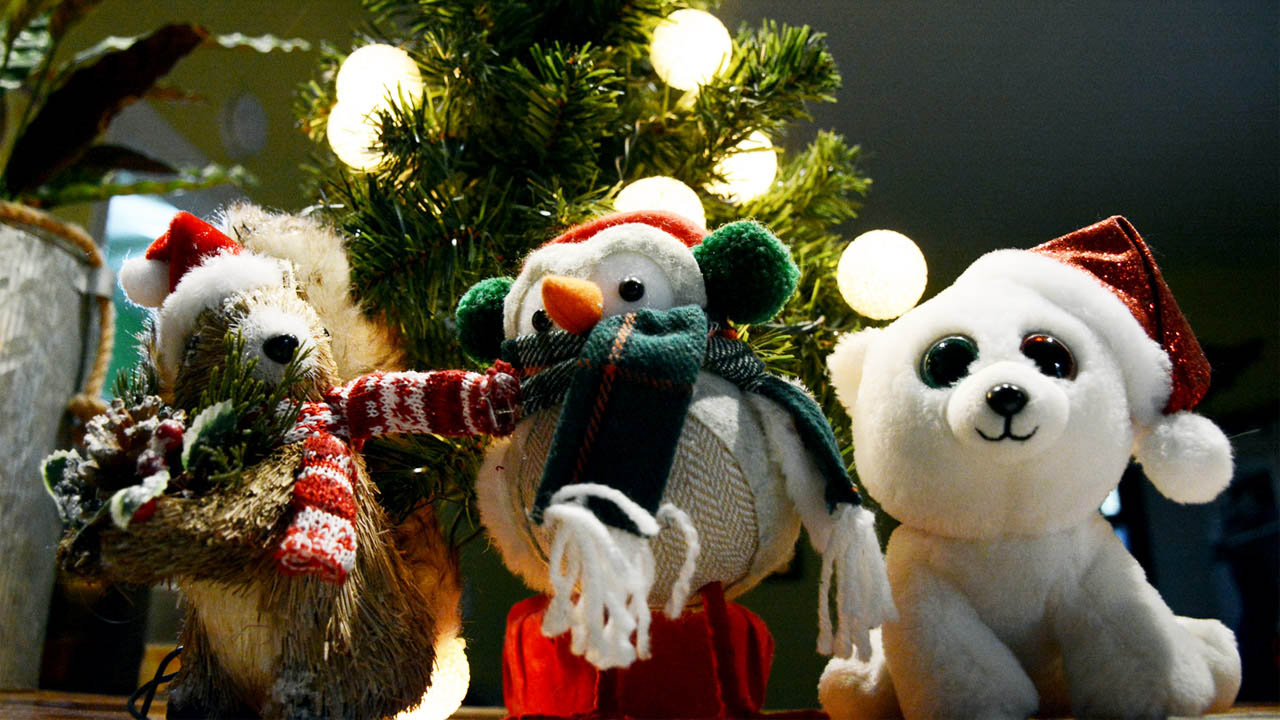A photo of stuffed animals wearing scarfs and Santa hats in front of a Christmas tree.