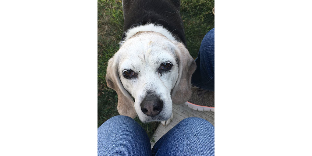 Header image for Interrobang article