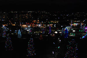 Londoners' spirits bright during Holiday Detour  photos